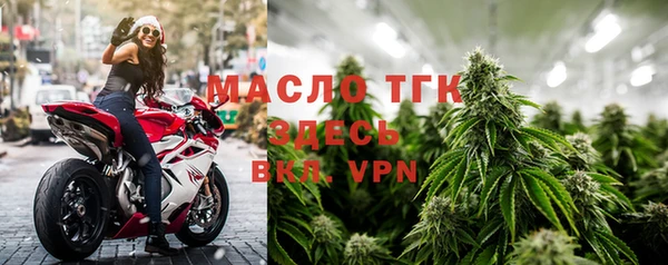 гашик Сосновка